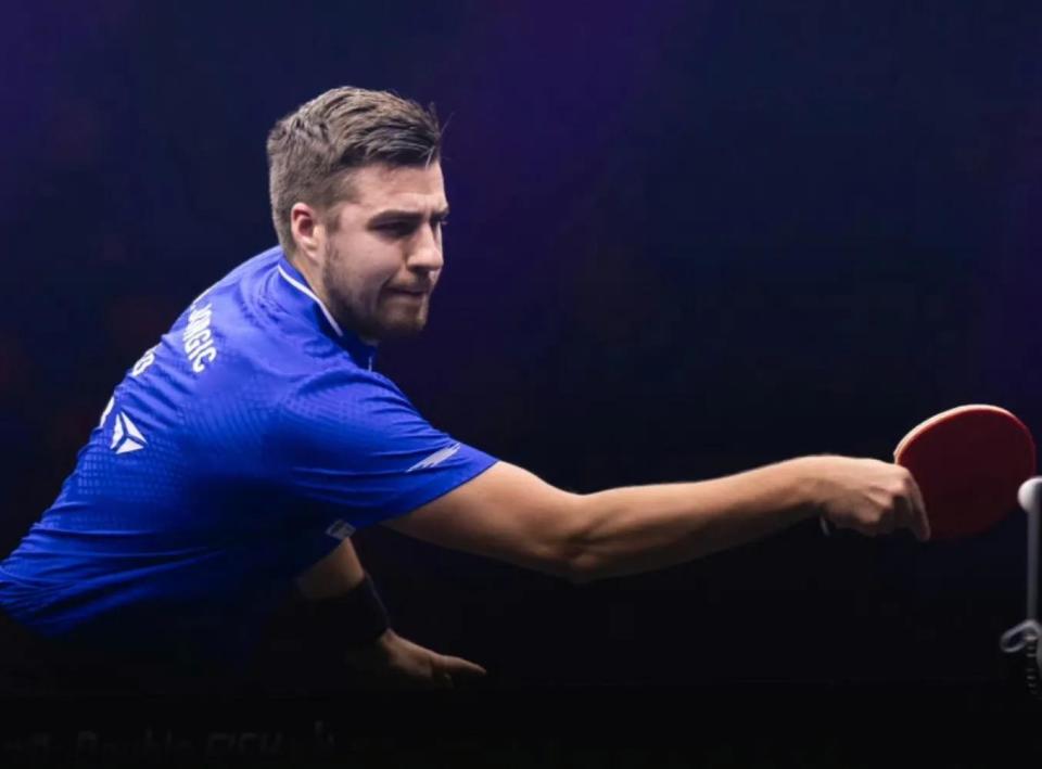 波兰球员西 波兰球员西