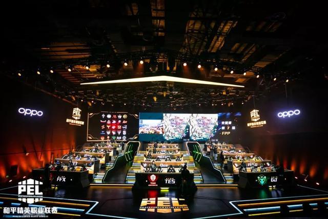 他们不仅在 他们不仅在